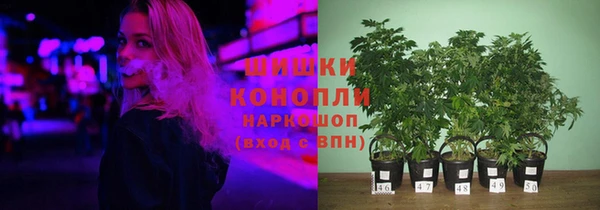 а пвп мука Алзамай