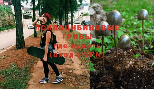 мдпв Покровск