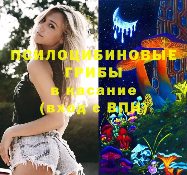 молекула духа Алексин