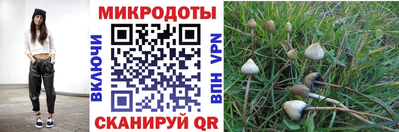 Галлюциногенные грибы прущие грибы  Алупка 